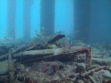 Load image into Gallery viewer, Scuba Dive