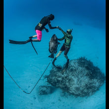 Load image into Gallery viewer, Snorkel and Spearfish