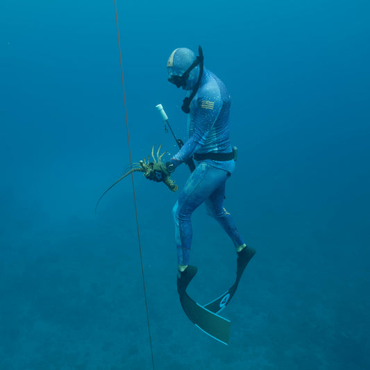 Fish and Snorkel/Spearfish Combo Trip