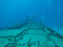 Load image into Gallery viewer, Scuba Dive