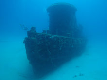 Load image into Gallery viewer, Scuba Dive