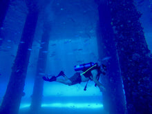Load image into Gallery viewer, Scuba Dive