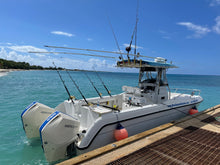 Load image into Gallery viewer, Fish and Snorkel/Spearfish Combo Trip