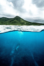 Load image into Gallery viewer, Fish and Snorkel/Spearfish Combo Trip