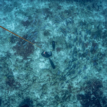 Load image into Gallery viewer, Snorkel and Spearfish