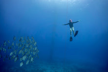 Load image into Gallery viewer, Fish and Snorkel/Spearfish Combo Trip