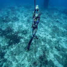 Load image into Gallery viewer, Snorkel and Spearfish