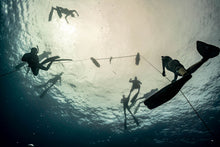 Load image into Gallery viewer, Fish and Snorkel/Spearfish Combo Trip